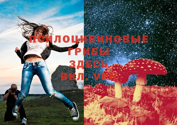 spice Магадан