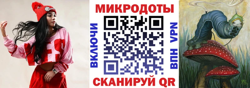 Псилоцибиновые грибы Psilocybe Алексин